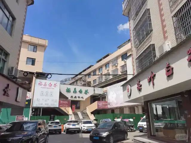 福鼎白茶交易中心