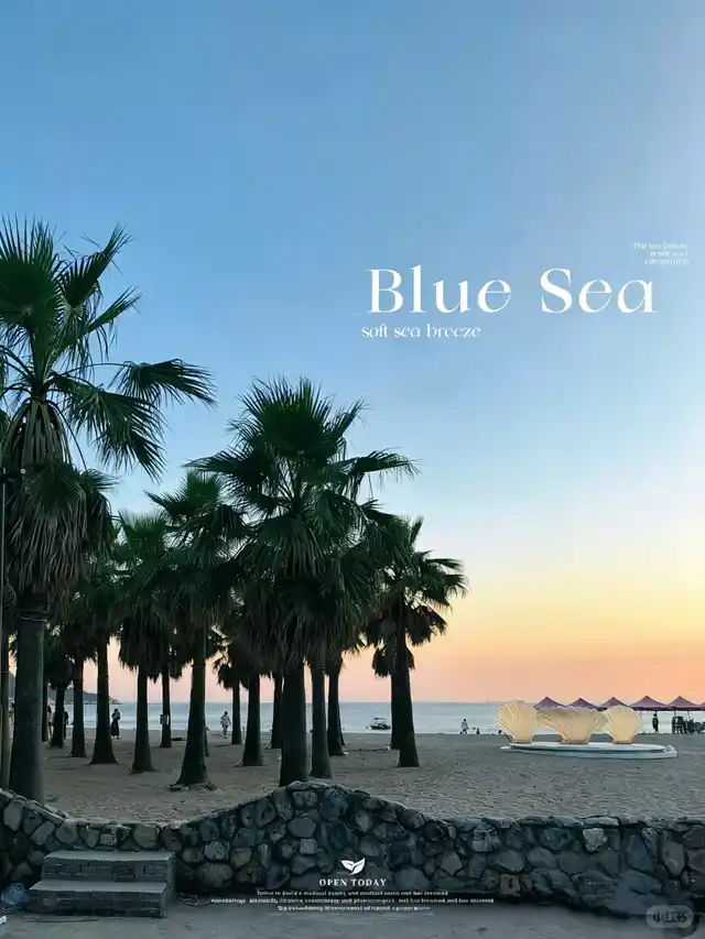 沙岙沙滩