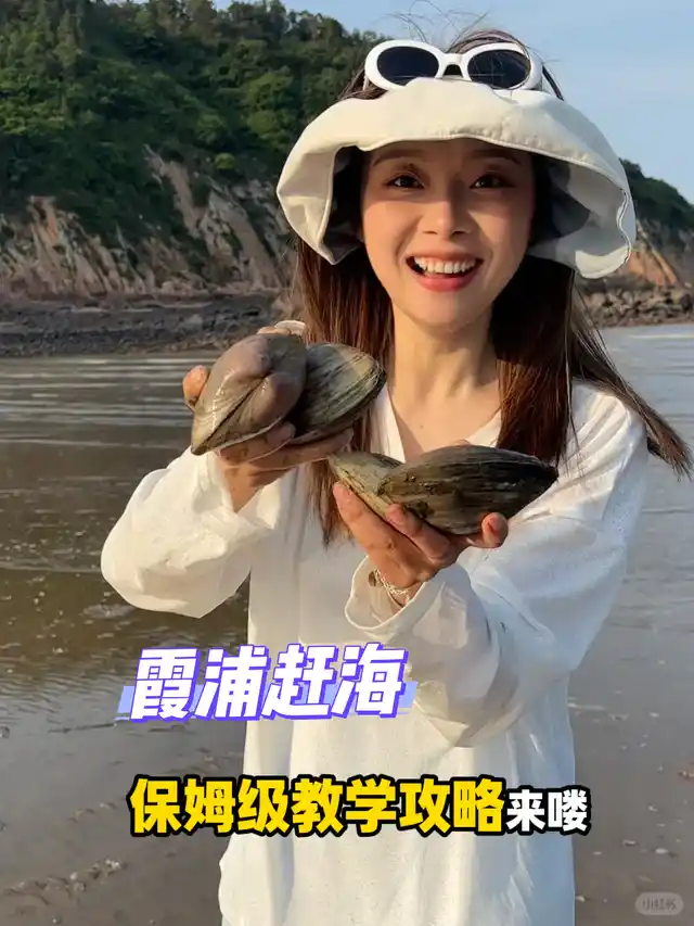 霞浦赶海