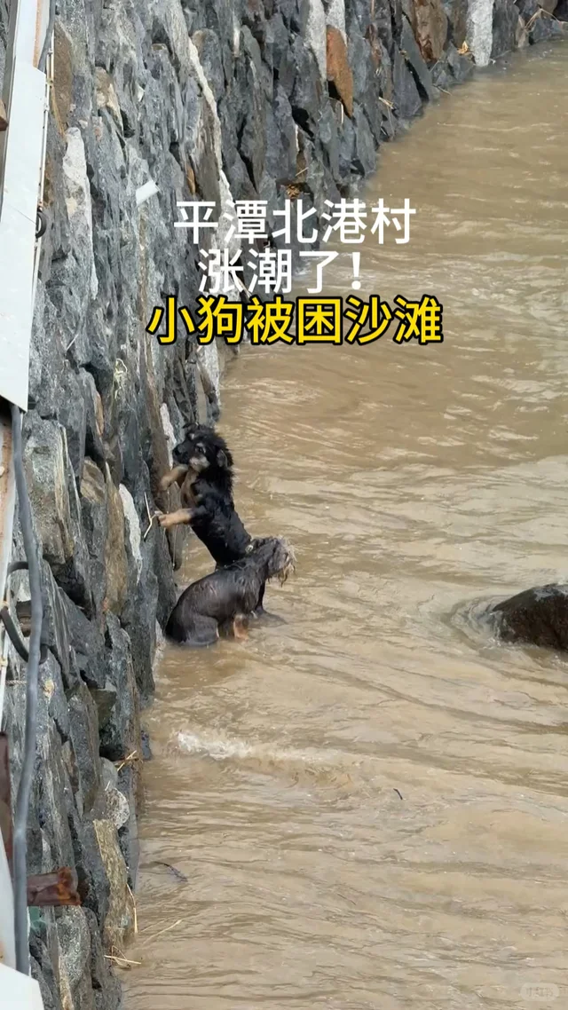 北港村